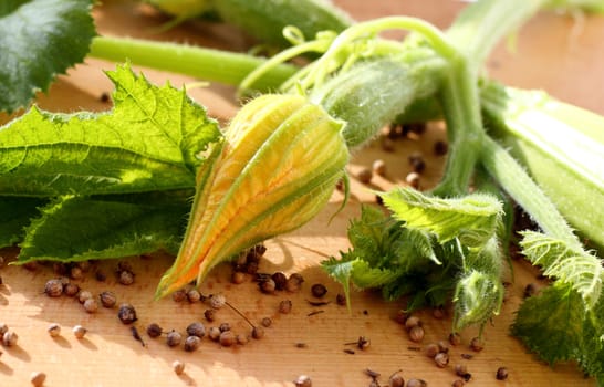 It is immature blooming zucchini with leaves 