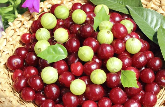 ripe cherry and gooseberries contained in a wicker basket