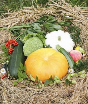 autumn harvest composition with fresh vegetables and fruits