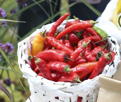 Close up ripe chili pepper basket