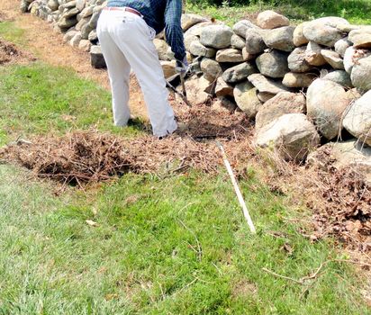 Volunteer male roadside worker clearing grass and weeds along the highway on the weekend.