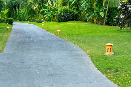 Garden stone path with grass