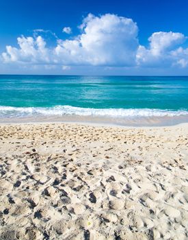 beautiful beach and tropical sea