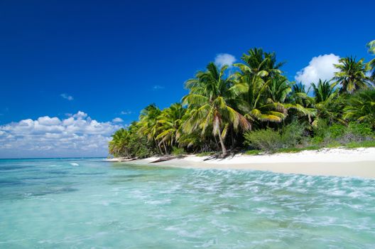 beautiful beach and tropical sea