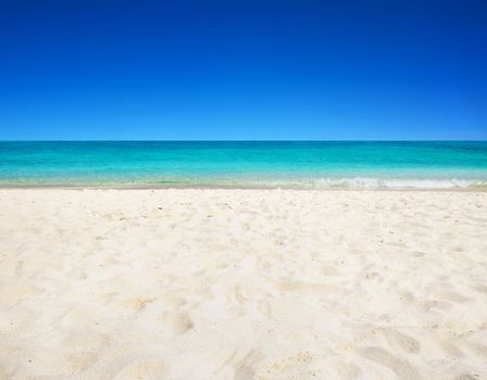 beautiful beach and tropical sea

