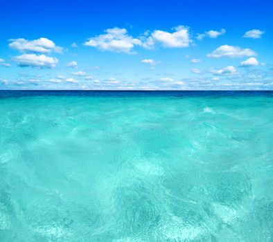 beautiful beach and tropical sea