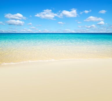 beautiful beach and tropical sea