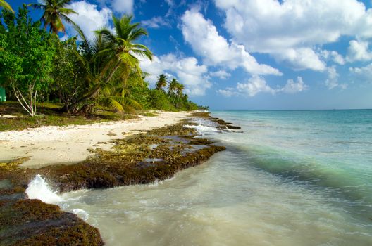 Caribbean clear beach and tropical sea