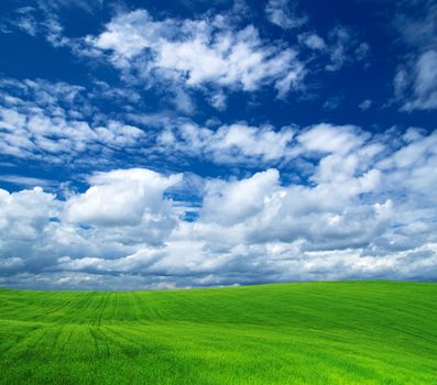 field on a background of the blue sky