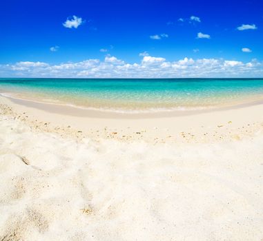 beach and tropical sea