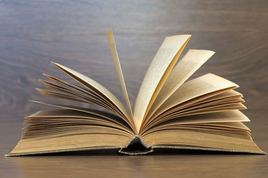 Open book on wood background