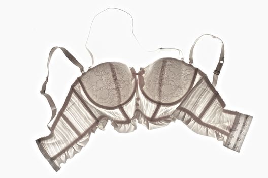 White bra isolated on white background