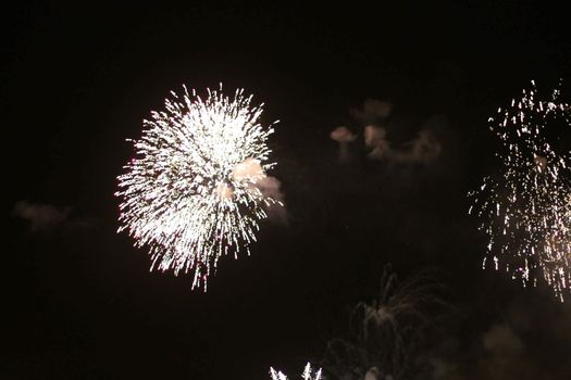 Colorful firework in the black night sky