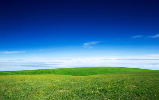 green field and blue sky