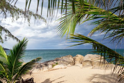 beautiful beach and tropical sea