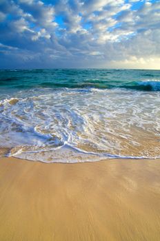 beautiful beach and tropical sea