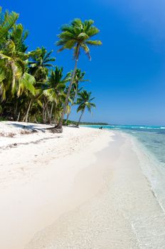 tropical sea and blue sky