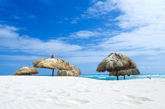 tropical sea and blue sky