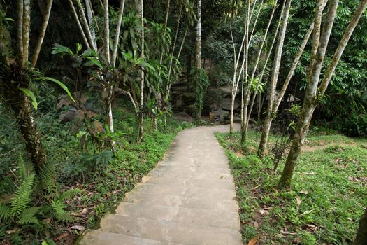 Garden stone path with grass