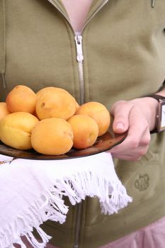 Plate with juicy yellow apricots.