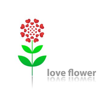Flower of Love - a sign of love.