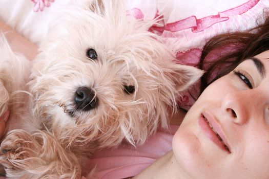 Westie sleeping next to woman in bed .