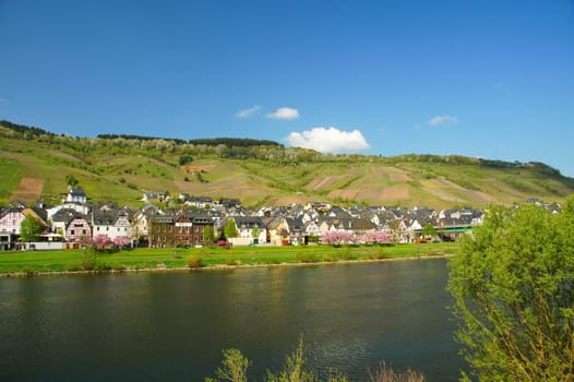 Reil on the Moselle in springtime