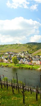 Reil on the Moselle panorama portrait