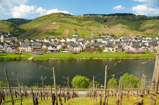 Reil on the Moselle in springtime