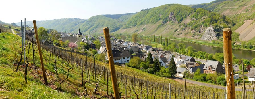 Burg on the Moselle panorama in springtime