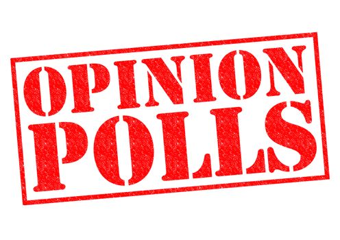 OPINION POLLS red Rubber Stamp over a white background.