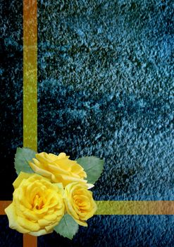 Beautiful yellow roses on a blue background