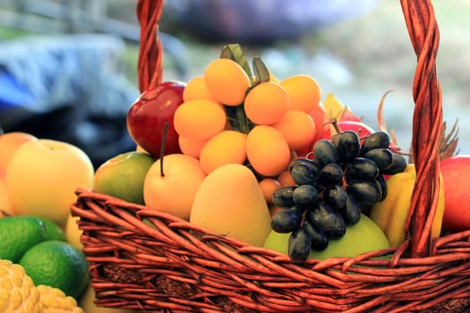 colorful picture of various fruits