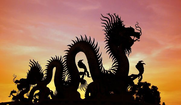 Silhouette of the golden Chinese dragon