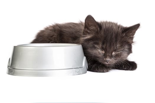 Cute black kitten drinks milk, isolated on a white background