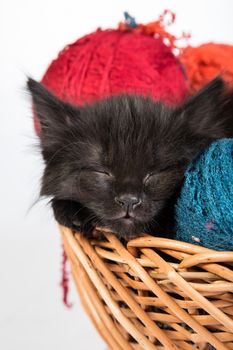 Black kitten playing with a red ball of yarn isolated on a white background