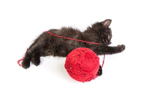 Black kitten playing with a red ball of yarn isolated on a white background