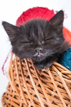 Black kitten playing with a red ball of yarn isolated on a white background