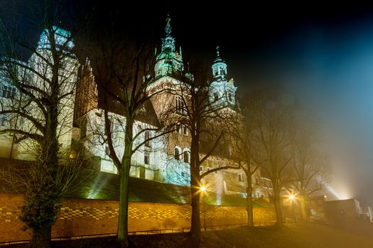Krakow old city at night. Wawel Castle and Wistula. Krakow Poland.