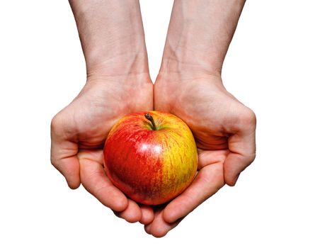 Men's hands holding red apple shot closeup isolated on a white background