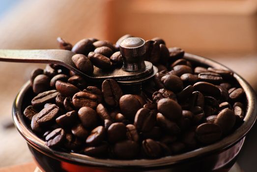 Close-up of roasted coffee beans. Full box.