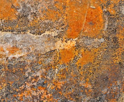 background or texture orange stone with cheetah pattern