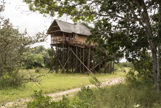 giant wooden house  on poles in africa nature