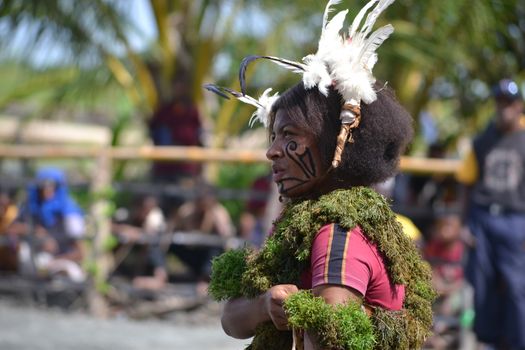 Traditional tribal dance at mask festival.
7th Gulf Mask Festival, Toare Village, Gulf Province, Papua New Guinea on June 19, 2011