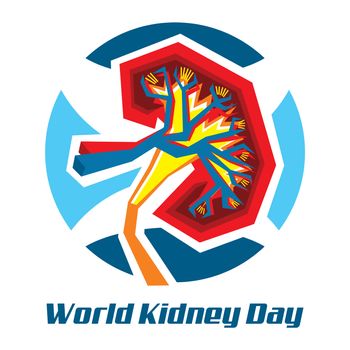 An abstract illustration on Kidney