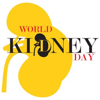 An abstract illustration on Kidney