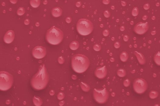 Macro image of pink water drops