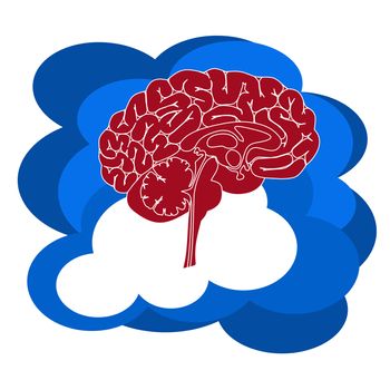 Brain Intelligence stored on a Private Cloud
