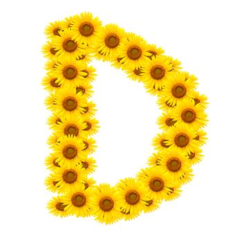 alphabet D , sunflower isolated on white background