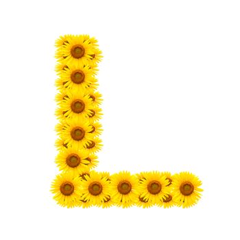 alphabet L , sunflower isolated on white background